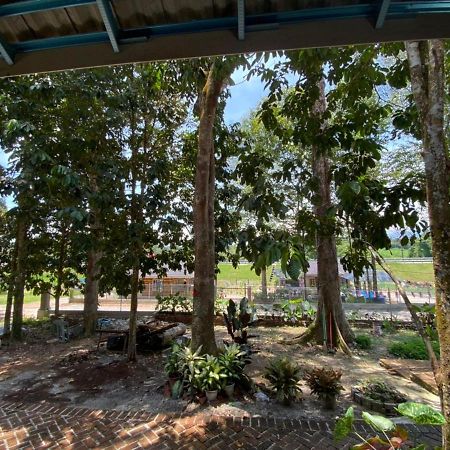 Homestay Dusun Ana Balun Slim River Eksteriør bilde